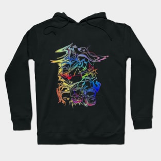 Decked Out (RAINBOW) Hoodie